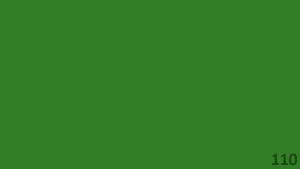 رقم اللون 110