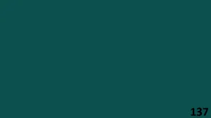 رقم اللون 137